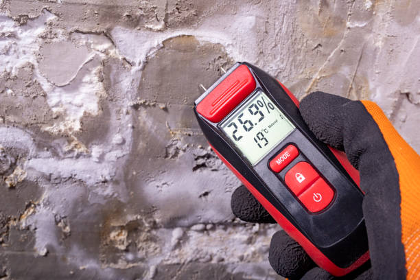 Best Post-Flood Mold Remediation in Dayton, KY
